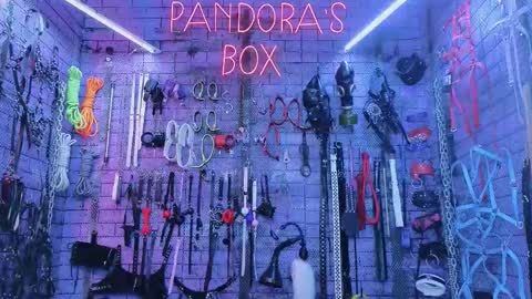 Snapshot of pandoranez chatting on October 20, 10:31 am PandoraNez online show from October 20, 10:31 am