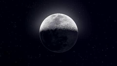 Paris online show from November 18, 8:56 pm