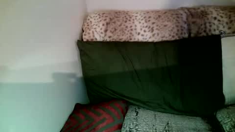 Parlay tellio online show from January 5, 10:08 pm