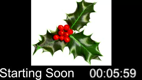 Passion4Fashion online show from December 25, 9:00 pm