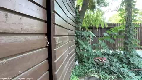 Andreea online show from July 18, 4:58 am