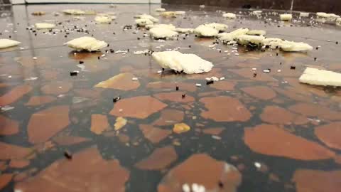 Snapshot of paujhon23 chatting on October 7, 11:28 am Paula online show from October 7, 11:28 am