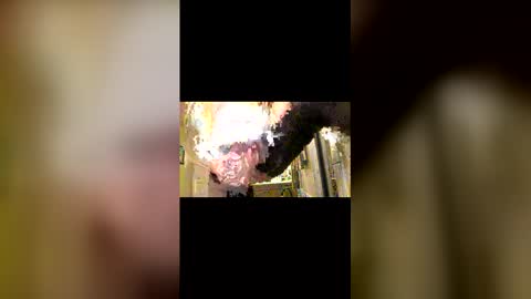 paul5816 online show from December 2, 1:20 pm