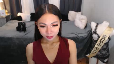 paulalawman online show from January 11, 12:16 am