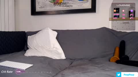 Paup online show from December 13, 5:16 am