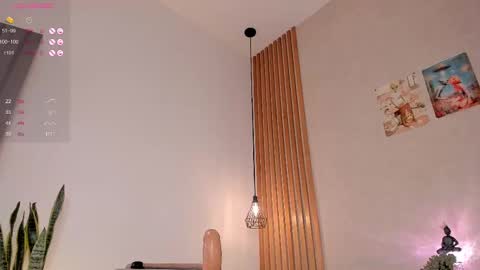 Dani online show from November 20, 5:54 pm