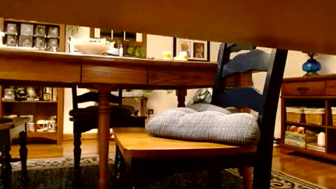 peecocktail online show from October 13, 5:09 am