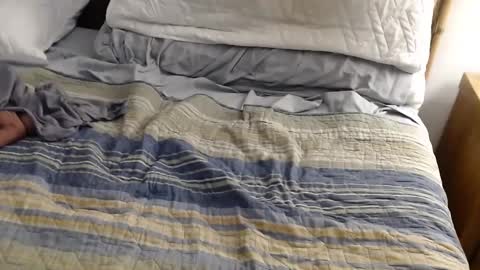 perdidobch online show from December 13, 1:44 pm