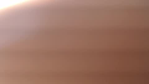 lecia online show from November 4, 4:03 am