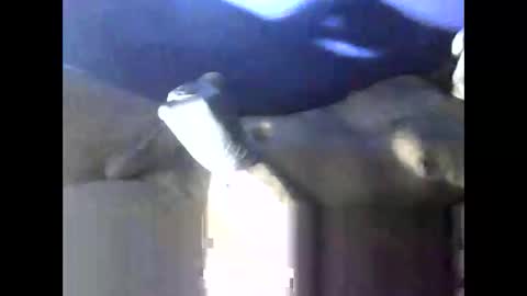 peterson1978 online show from February 13, 2:37 am