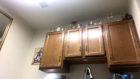 Phil online show from February 2, 2:38 am