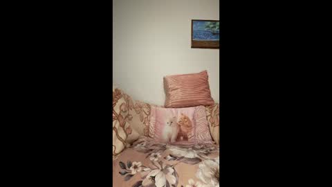 philos1979 online show from January 16, 11:14 pm