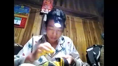 phuong_vietnam online show from April 19, 1:34 pm