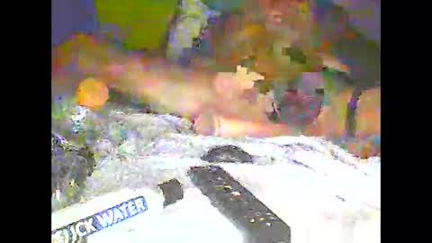 pigbear4trans online show from January 7, 10:44 am