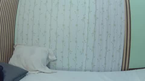 Hi  its me shine  online show from February 12, 5:55 am