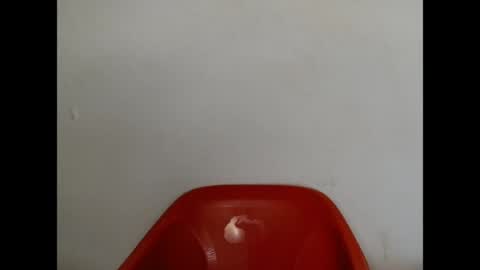 pinkxsugar online show from July 7, 7:23 am