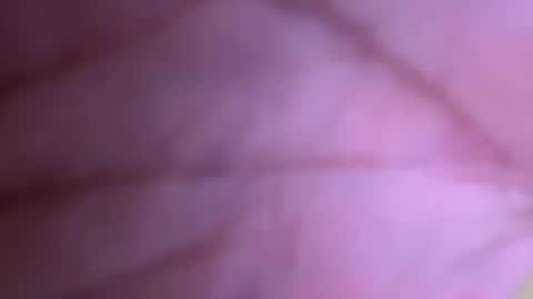 pistolpete9891 online show from January 25, 8:42 pm