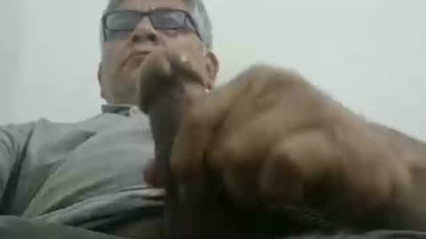 poli online show from November 21, 3:26 am