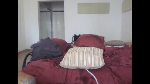 Paul online show from December 1, 10:57 am