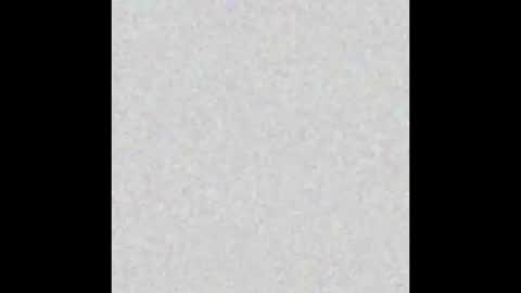 Polly online show from March 12, 12:26 pm