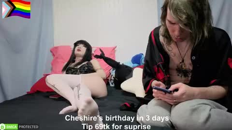 Cheshire  Bee online show from June 6, 11:54 pm