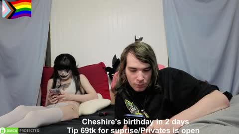 Cheshire  Bee online show from June 8, 1:28 am