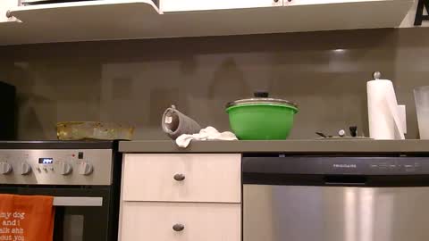 PAWG Pale Princess online show from November 19, 8:24 am