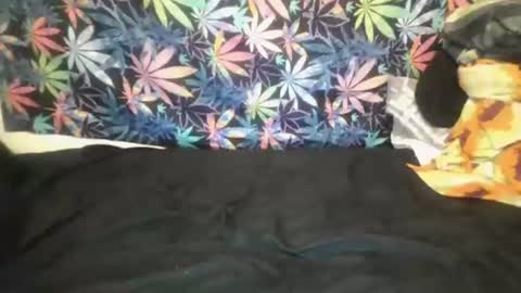 Libra Lamont online show from November 6, 4:26 am