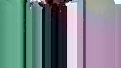 prvive2025 online show from October 19, 5:06 pm