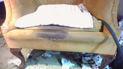 pspee313 online show from April 11, 7:45 am