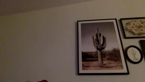 ptrex27 online show from March 15, 6:51 am