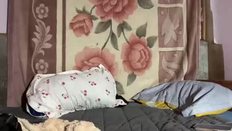 puki_hot online show from March 13, 8:39 am