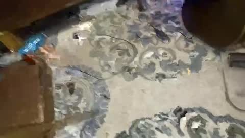 pUnKie6 online show from April 30, 11:26 am