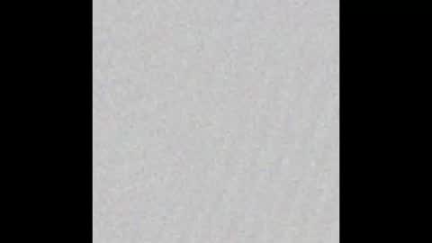 PupAxel online show from January 30, 11:11 am