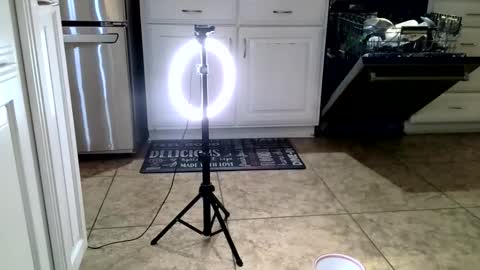 purplegrasses1966 online show from November 5, 6:15 am