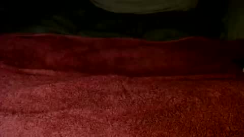 pussydude online show from May 24, 2:45 pm