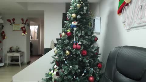  Zafiro  ILL BROADCAST UNTIL DECEMBER  Onlyfans  online show from November 17, 12:30 pm