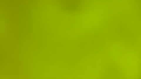 quinnxx online show from March 9, 6:29 am