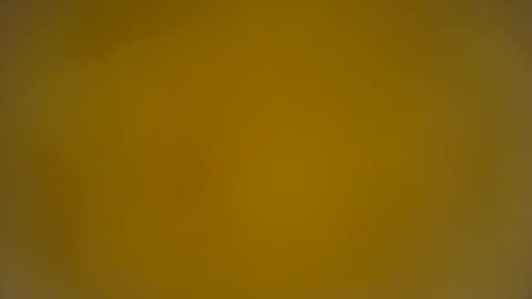 quinnxx online show from March 24, 8:09 am