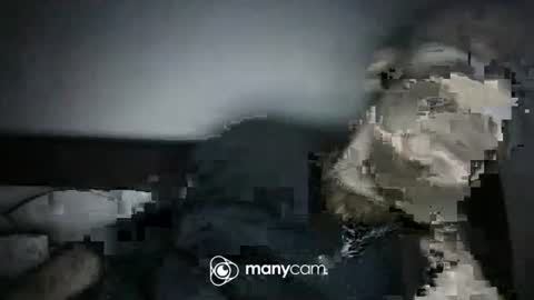 qwezxcqweasdzxc online show from November 1, 4:55 am