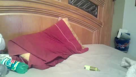 hitman online show from November 2, 10:37 am