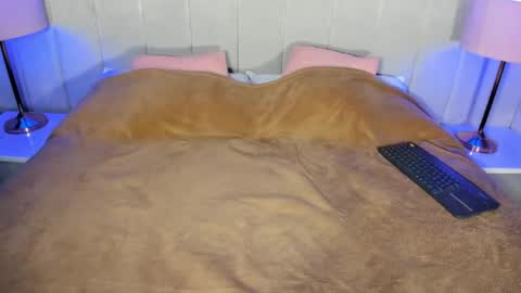 Ravenfox  online show from April 15, 3:54 am