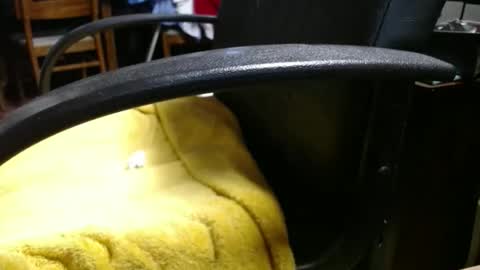 Ray online show from April 17, 11:34 am