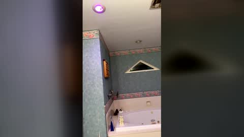 rayvenveil online show from February 20, 6:37 am