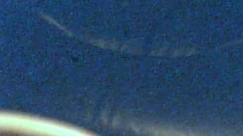 rdean0137 online show from August 5, 3:14 am