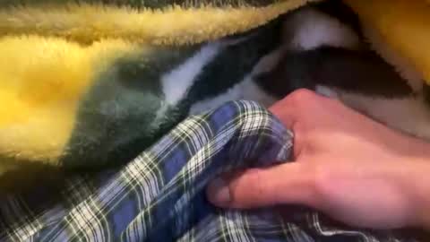 realbigload77 online show from February 28, 1:37 pm