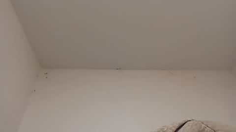 rednicedick online show from January 22, 6:42 am