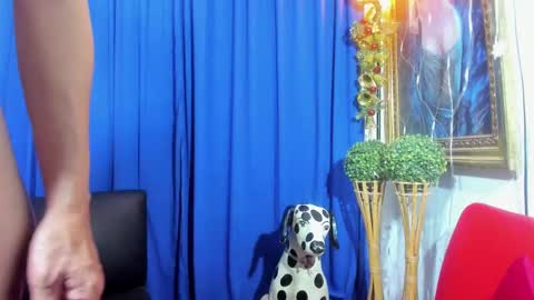 Snapshot of redroomxx chatting on February 8, 4:04 pm MIA online show from February 8, 4:04 pm