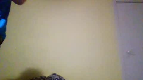 regularfucker29 online show from June 11, 8:29 pm