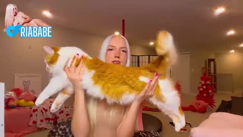 ria  online show from January 19, 4:22 am